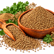 تخم گشنیز